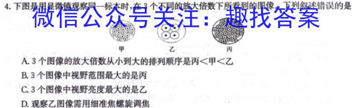 炎德英才大联考 湖南师大附中2024届高三月考试卷(四)生物学试题答案