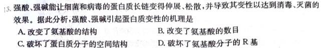 安徽省霍邱县2023-2024学年度九年级第一学期期中考试生物学试题答案