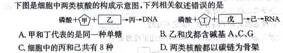 辽宁省名校联盟2023-2024学年高二上学期12月联合考试生物学试题答案