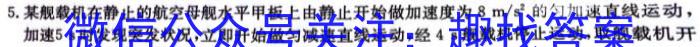 衡水金卷先享题分科综合卷2024全国卷l物理