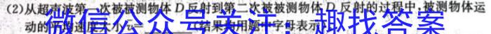 深圳外国语学校(集团)高中部2024届高三年级第四次月考物理试卷答案