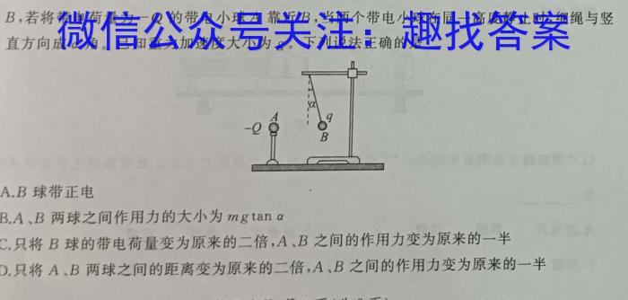 吉林省2023~2024(上)高二年级第二次月考(242357D)物理试卷答案