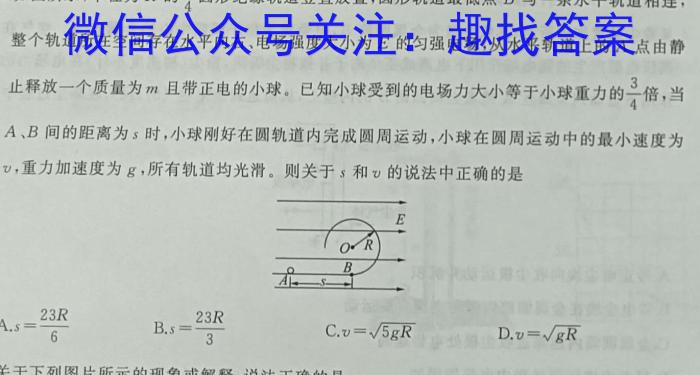 金考卷 百校联盟(新高考卷)2024年普通高等学校招生全国统一考试 领航卷(1)物理试卷答案