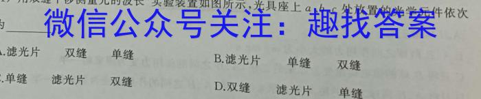 河北省2023-2024学年第一学期九年级期中学情质量检测物理试卷答案