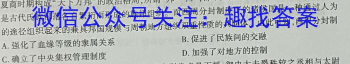 ［河南大联考］河南省2024届高三11月联考历史