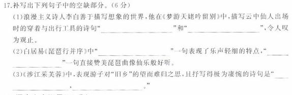 高考快递 2024年普通高等学校招生全国统一考试信息卷(二)2新高考版语文试卷 答案