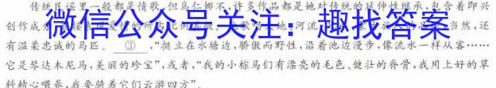 安徽省阜阳市2023-2024学年度九年级第三次月考检测（三）△/语文