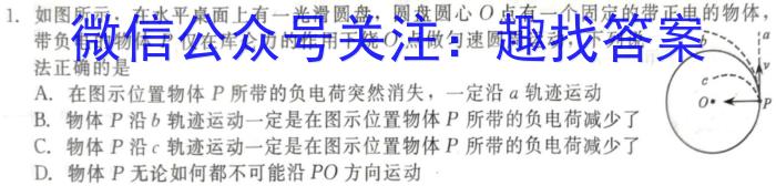 九师联盟·2024届高三11月质量检测巩固卷（LG）z物理