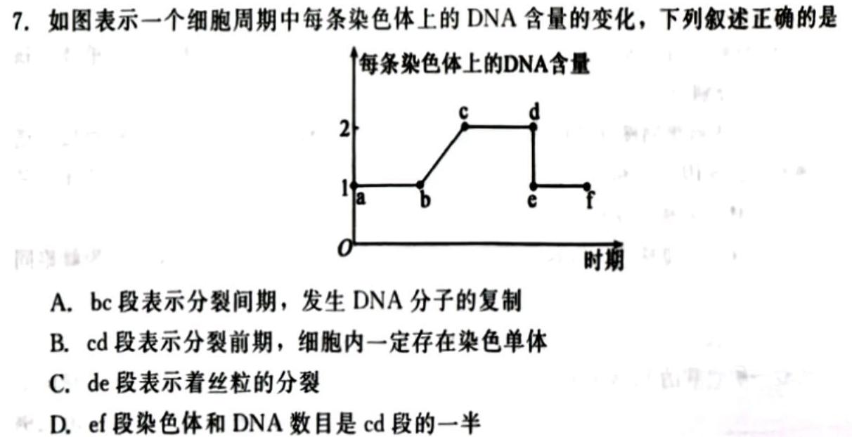 河南省2023-2024学年度高一年级期中考试卷（新教材）生物