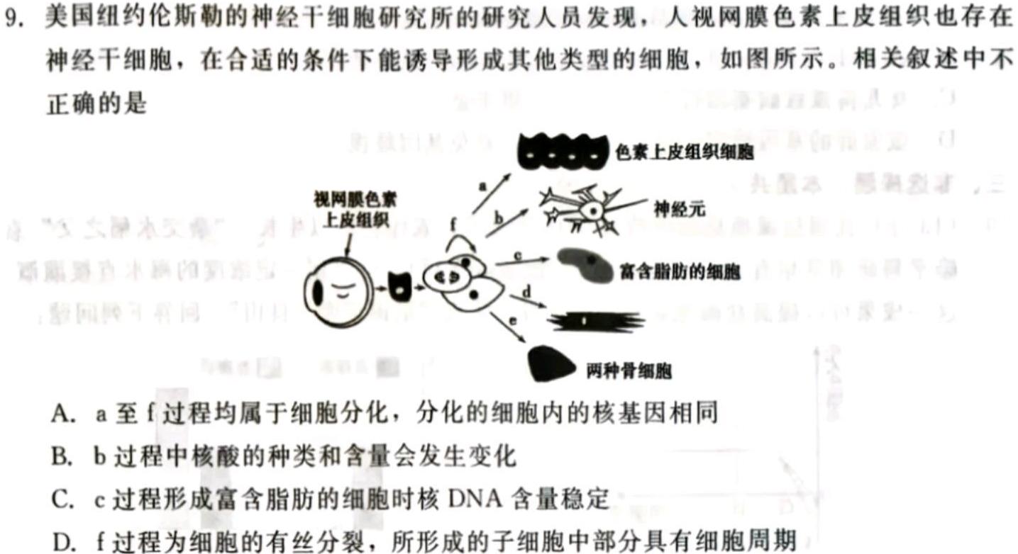 安徽省2023-2024学年度七年级上学期阶段性练习（三）生物