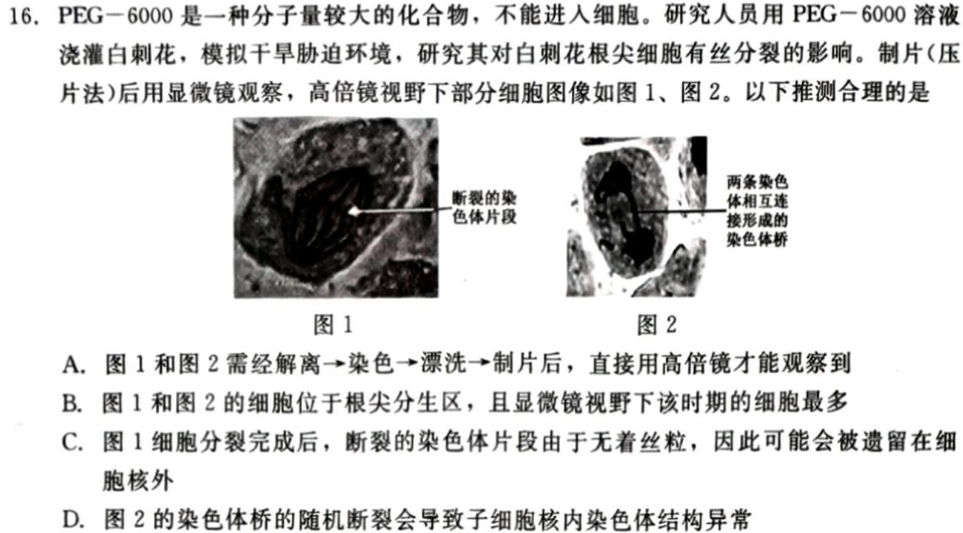 陕西省咸阳市2023-2024学年度第一学期八年级第二次作业C生物学部分