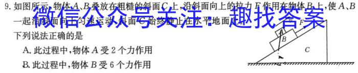 安徽省2023-2024学年九年级第一学期教学质量检测（二）q物理