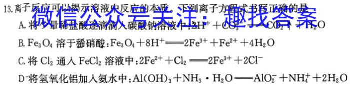 q河北省沧衡八校联盟高三年级2023-2024学年上学期期中考试化学