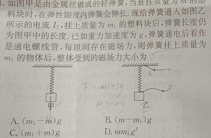 湖北省2024届高三湖北十一校第一次联考物理试题.