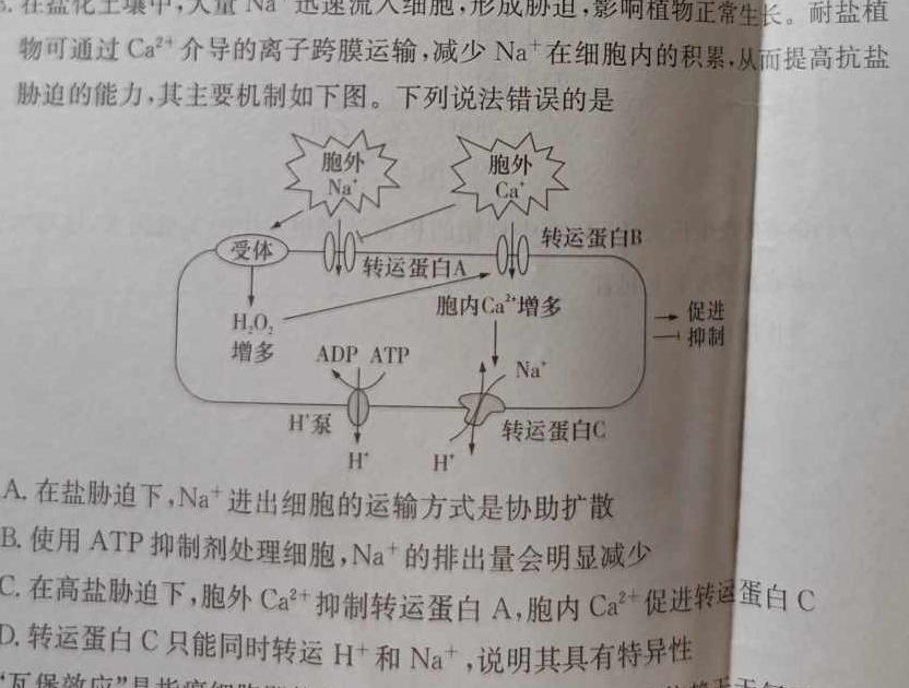 山西省2024届九年级阶段联考二（第三次）生物学试题答案