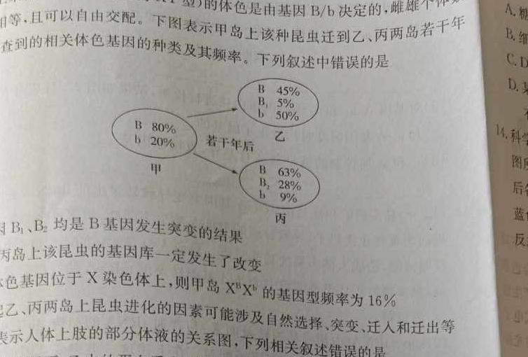 2023-2024上学期承德市重点高中联谊校高二年级12月份联考生物学试题答案