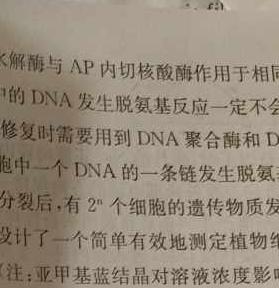 山西省2023-2024学年九年级上学期阶段质量监测试卷（11.29）生物学试题答案