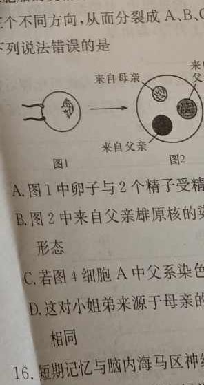 2024年全国高考仿真模拟卷(五)5生物学试题答案