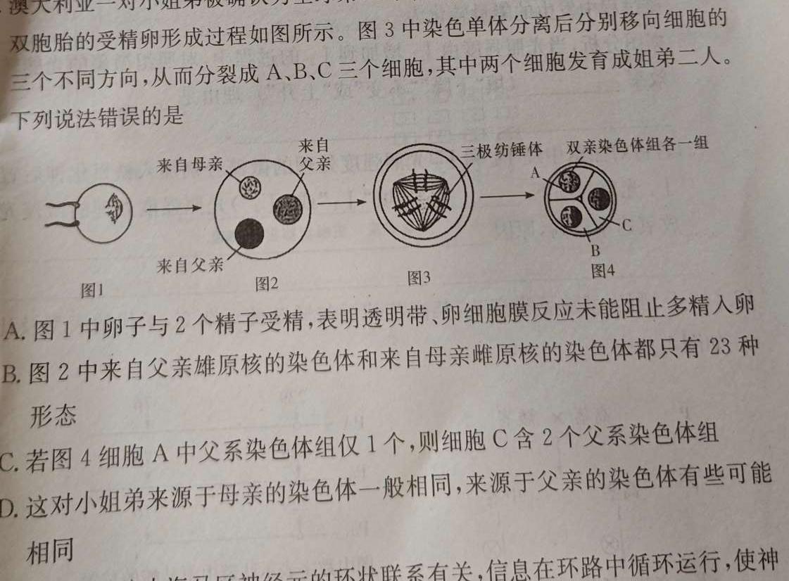 河北省2023~2024学年高二(上)质检联盟第三次月考(24-175B)生物学部分