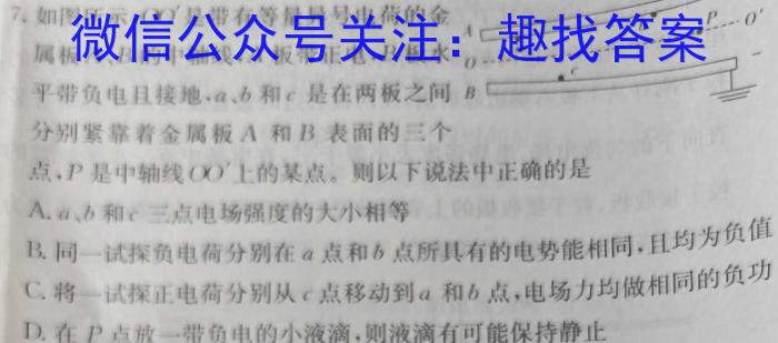 2023-2024学年陕西省高一12月联考(↑↑)物理试卷答案