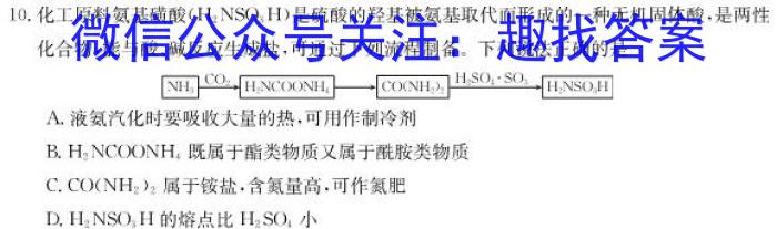 q2024届山东省临沂市高三教学质量检测考试(11月)化学