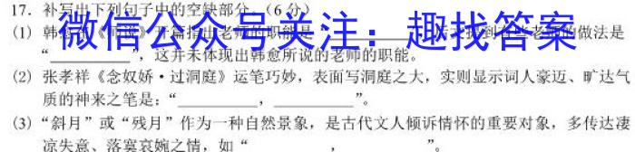 四川省2024届高三12月联考语文