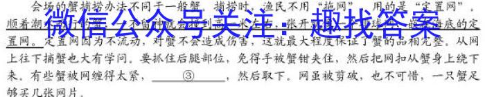 ［江西大联考］江西省2024届高三11月联考语文