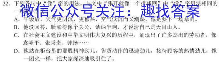 河北省石家庄市赵县2023-2024学年度第一学期期中学业质量检测九年级语文