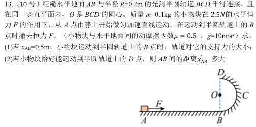 安徽省2024届九年级阶段评估(二)3L R物理试题.