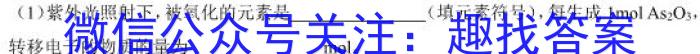 q湖北省武昌区拼搏联盟2023-2024七年级第一学期期中检测化学