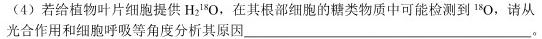 广东省2023-2024学年度高二年级11月联考生物学试题答案