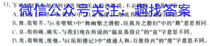 河北省石家庄市赵县2023-2024学年度第一学期期中学业质量检测九年级/语文