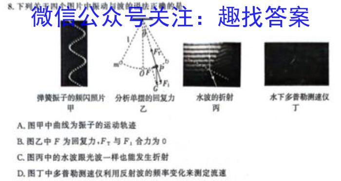 衡水金卷先享题分科综合卷2024全国卷q物理