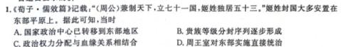 2024届衡水金卷先享题分科综合卷 新教材B二历史