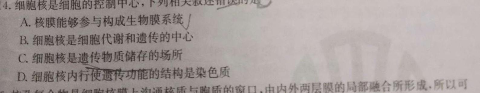 九师联盟 河南省中原名校联盟2024届高三上学期11月教学质量检测生物