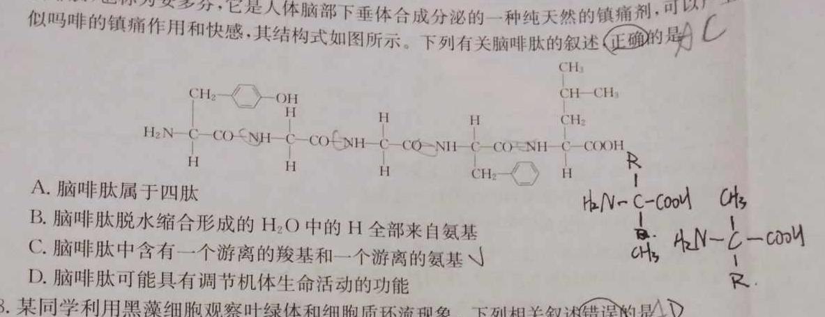 万友2023-2024学年上学期九年级·教学评价二(期中)生物