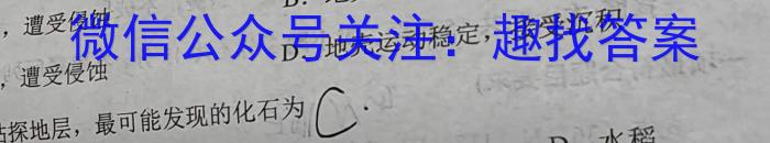 [今日更新]安徽省合肥市2023/2024学年度第一学期九年级学情练习（2）地理h