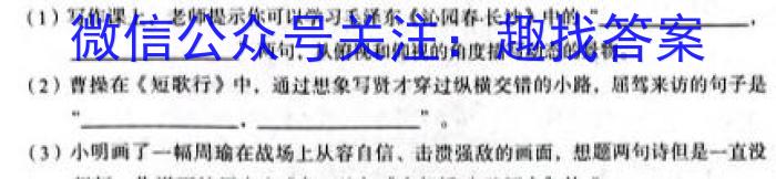 河南省2023~2024学年九年级上学期阶段性学情分析(三)语文