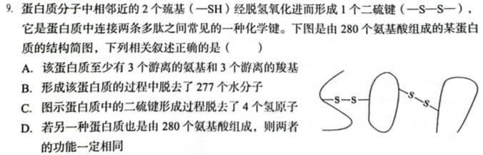 四川省2023-2024学年度上期高二年级高中2022级期中联考生物