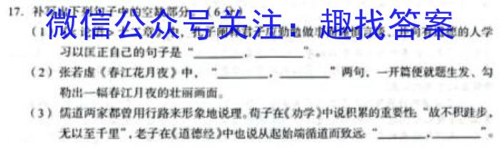 四川省2024届高三试题12月联考(ⓞ)/语文
