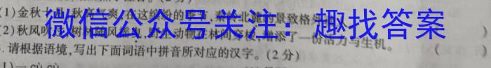 江西省南昌市2023-2023学年第一学期九年级第二次质量监测/语文