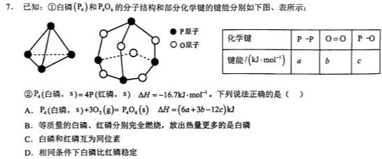 1陕西省2025届高二12月联考化学试卷答案