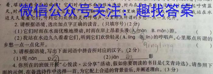 河南省2023-2024学年度第一学期九年级阶段性测试卷（3/4）语文