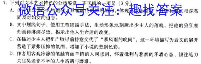 河北省石家庄市赵县2023-2024学年度第一学期期中学业质量检测九年级语文