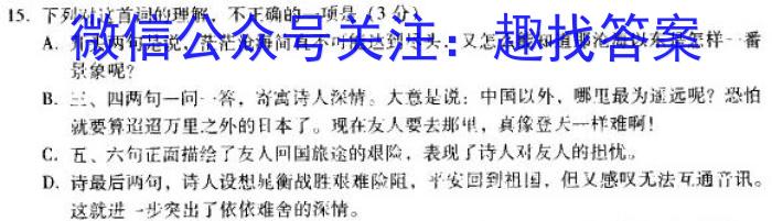 河南省2023~2024学年九年级上学期阶段性学情分析(三)语文