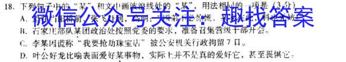 "2024年全国普通高等学校招生统一考试·A区专用 JY高三模拟卷(一)语文