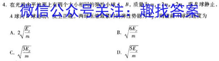 江西省2024届九年级阶段评估(二) 3L R物理试题答案