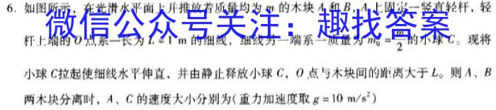 2023年秋季鄂东南省级示范高中教育教学改革联盟学校高二期中联考f物理