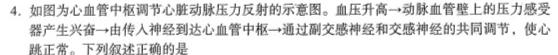 安徽省2023年八年级万友名校大联考教学评价二生物