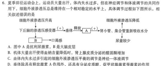 江西省“三新”协同教研共同体2023年12月份高一年级联合考试（❀）生物学试题答案